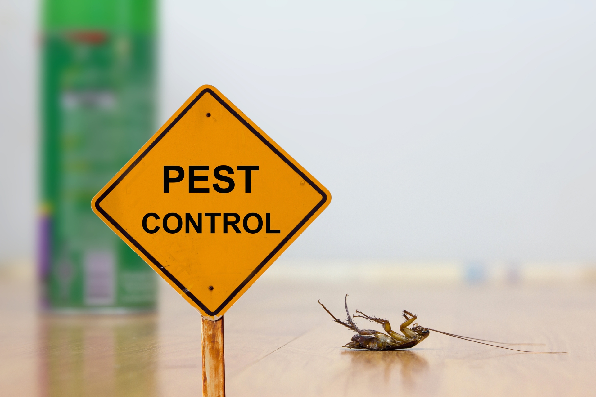 24 Hour Pest Control, Pest Control in Grove Park, SE12. Call Now 020 8166 9746